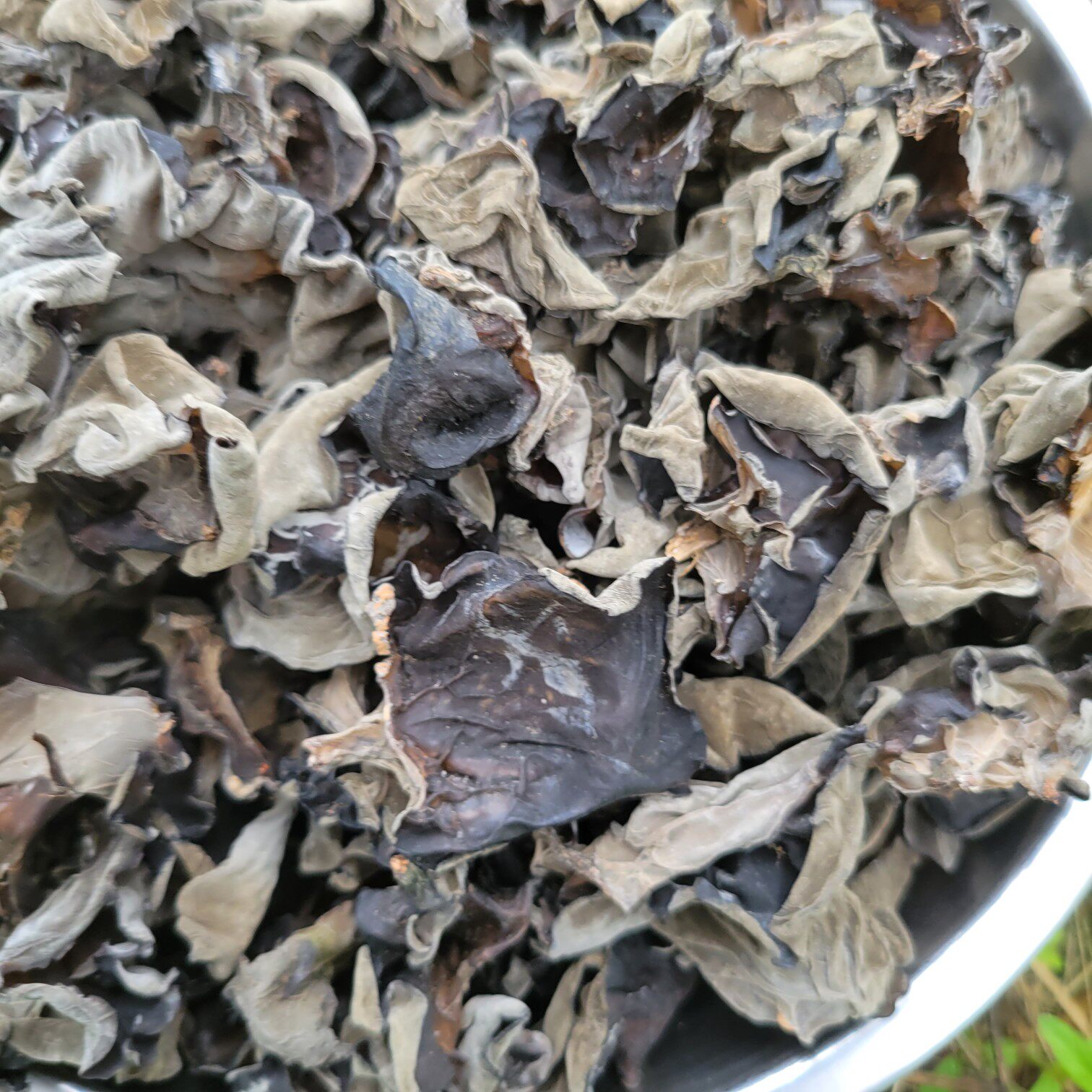 散装大兴安岭东北新货单片柞木