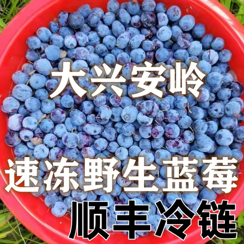 大兴安岭嘟柿速冻纯野生蓝莓奶茶