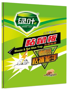 绿叶捕鼠器灭大自动粘除张装