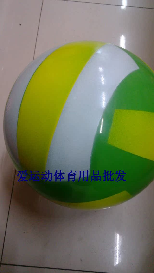 Ballon de volley-ball - Ref 2012201 Image 3