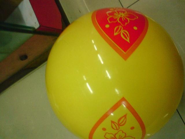 Ballon de volley - Ref 2013224 Image 5