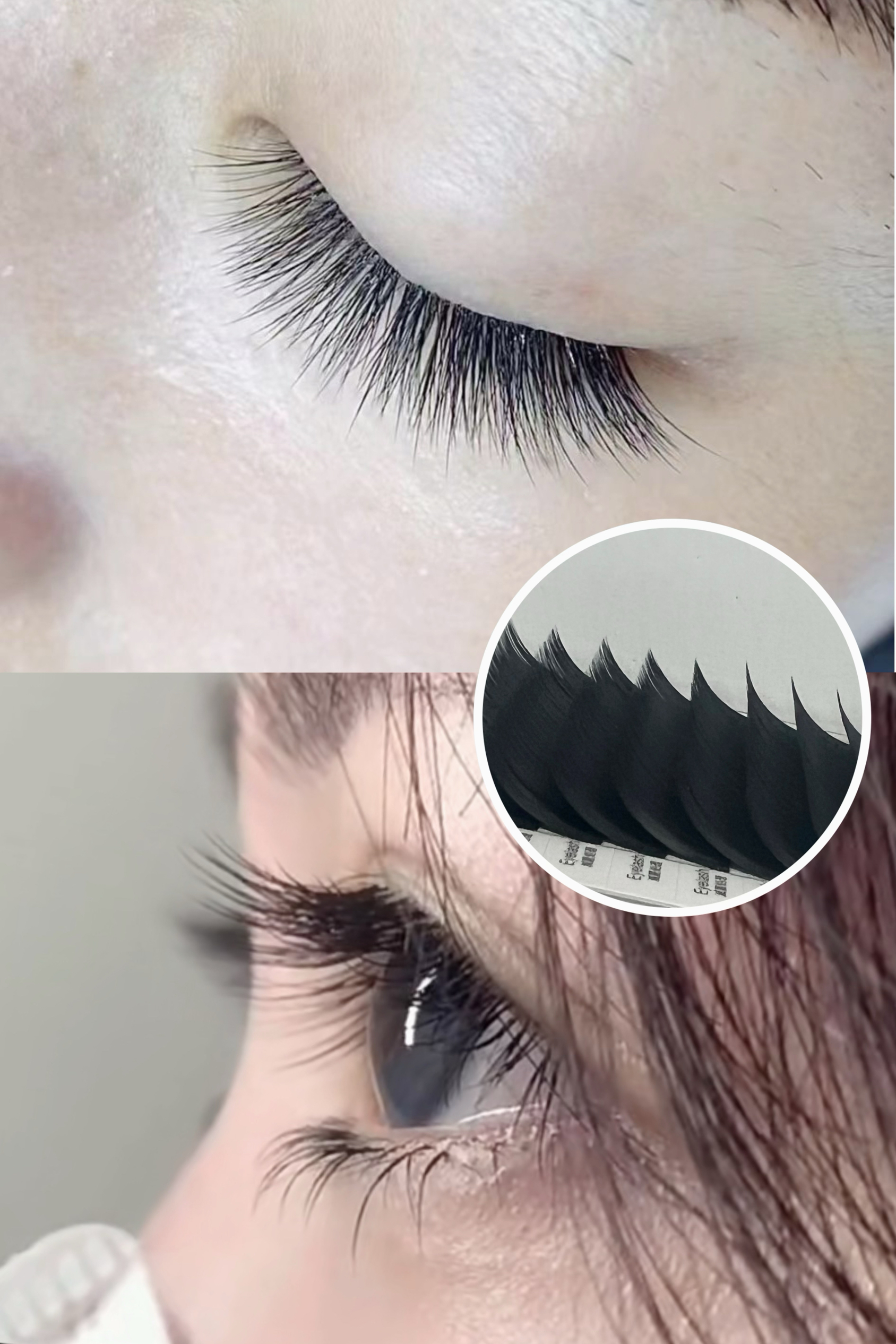 Q&L 0.07山茶花婴儿弯柔软嫁接超软睫毛自然婴儿弯美睫店妈生睫毛