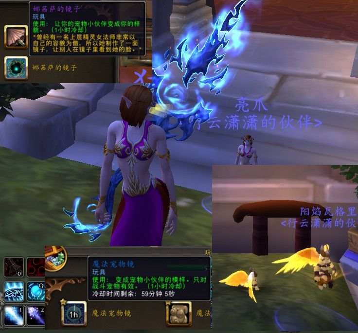 魔兽世界宠物玩具  娜茜萨的镜游戏代练（新）
