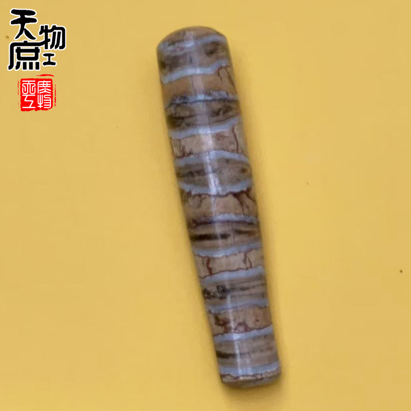 猛犸臼齿后槽牙原色烟嘴