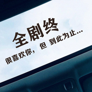 汽车天窗贴纸文字装饰后玻璃车身