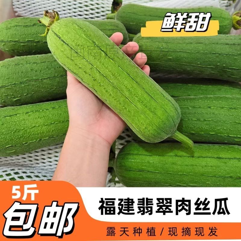 新鲜丝瓜肉丝瓜粗水瓜短棒香丝瓜农家福建蔬菜现摘1-5斤