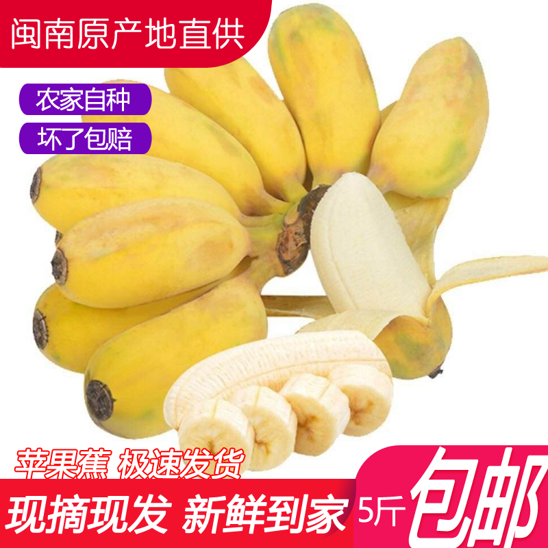 苹果蕉新鲜小粉蕉香蕉应季水果