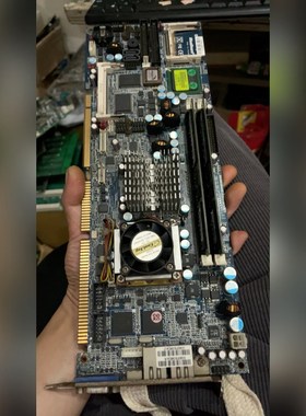 瑞传DSM Computer BlueBoard 96M42 议价