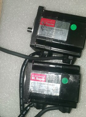 P30B06010DXV20 电机 议价