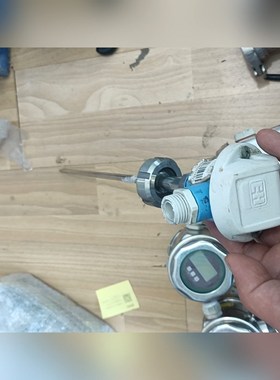 E+H 温度计D-87484Nesselwang 实拍 议价