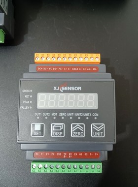 鑫精诚 XJCSENSOR 称重显示仪鑫精诚智能测力表型 议价