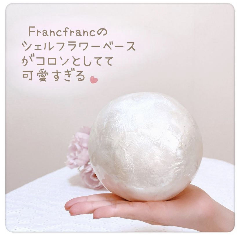 日本francfranc创意贝壳花瓶室内家居摆件桌面小装饰