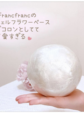 日本francfranc创意贝壳花瓶室内家居摆件桌面小装饰