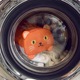 美国Kikkerland猫咪洗衣袋创意生日礼物洗护袋洗衣机网袋