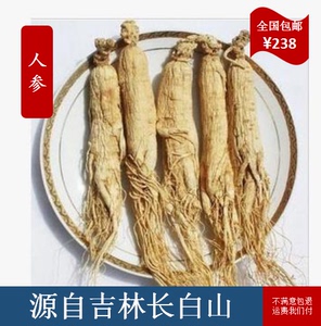 生晒参500g东北人参长白山人参野山参干人参泡酒白参