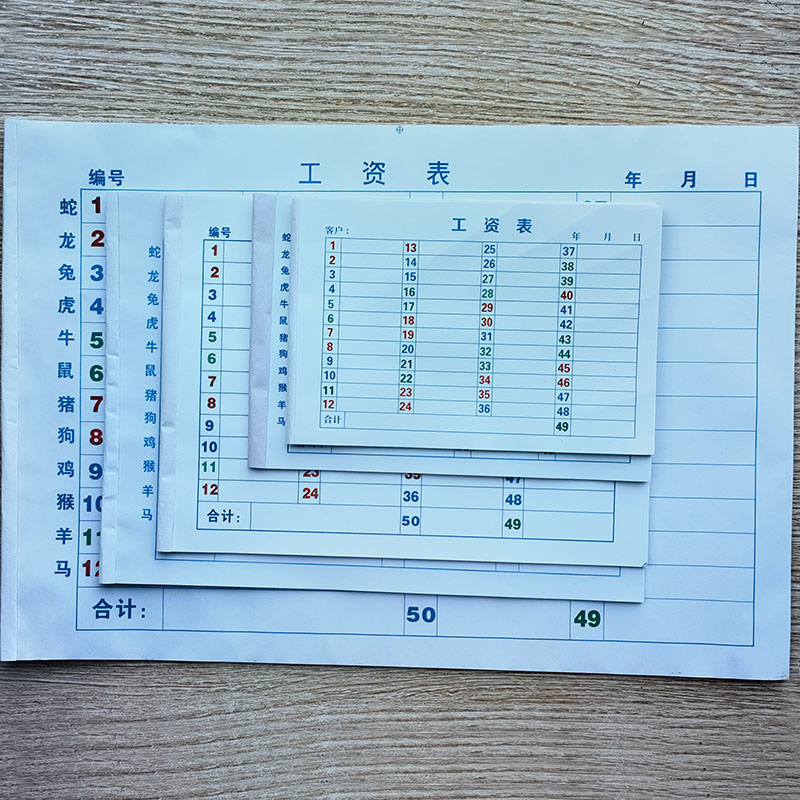 2025年带生肖六彩统计清单用本a4表格A3加大盘点单据1-49号码表A5