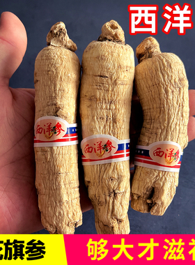 西洋参段整枝洋参根长白山正品中药材粒头泡水整根非加拿大花旗参