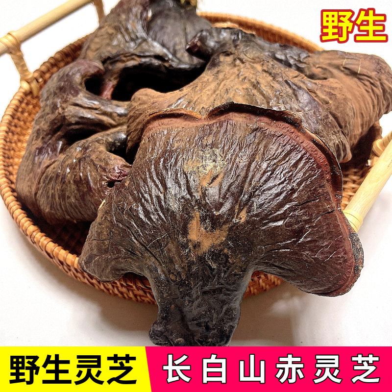 野生灵芝正品长白山林下赤灵芝林芝干货整朵中药材泡水泡酒500克