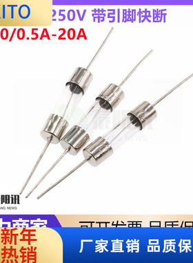 (10pcs)5*20/5x20玻璃保险管250V 带引脚快断F0.5A1A2A3A4A5A10A1