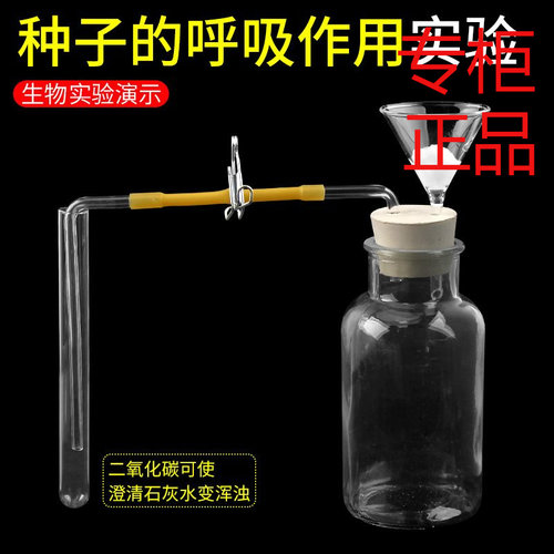 探究种子的呼吸作用实验装置漏斗