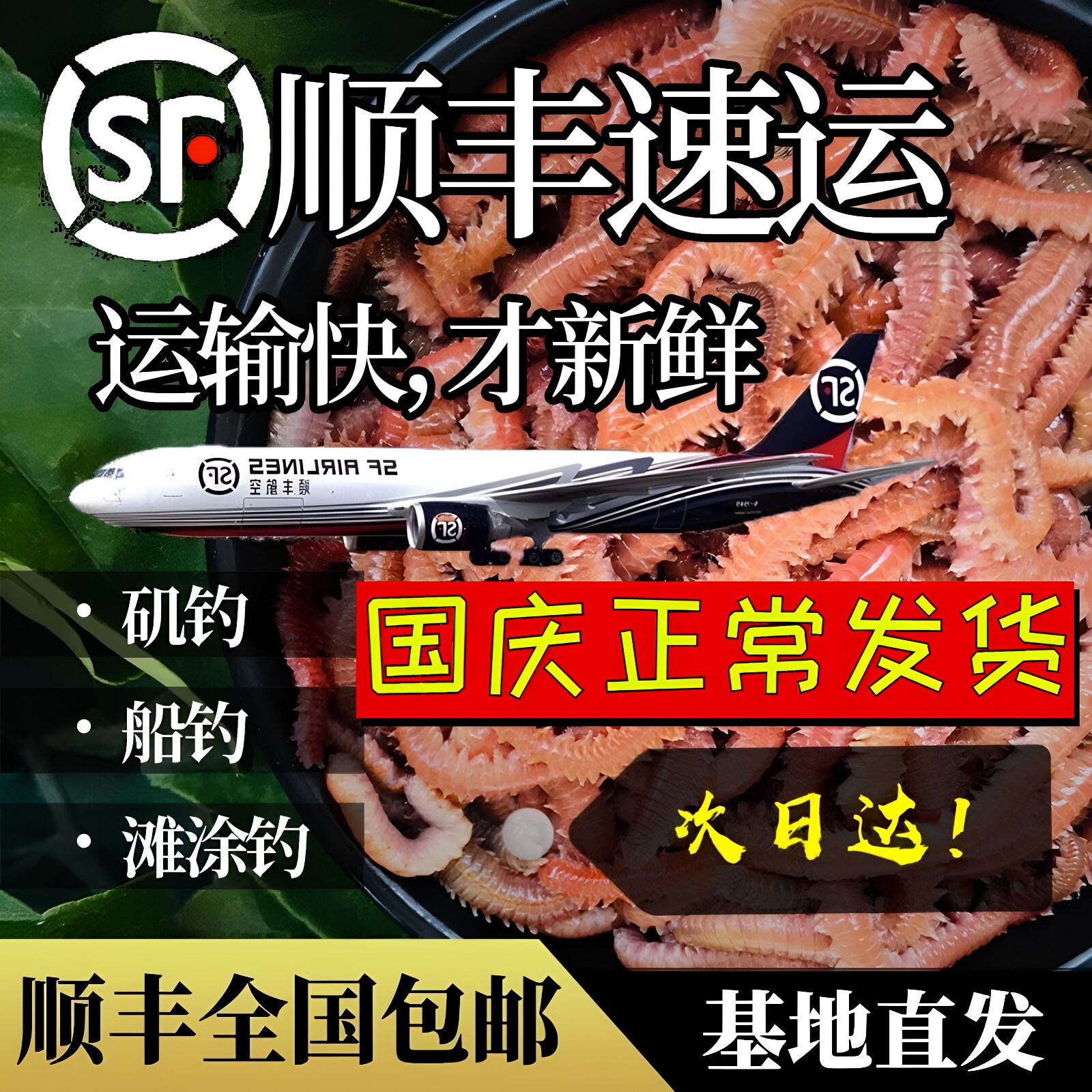 鲈鱼饵海蜈蚣顺丰包邮图片