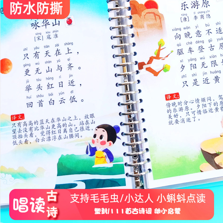 毛毛虫小达人小蝌蚪点读教具