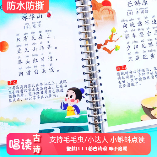 毛毛虫小达人小蝌蚪点读教具