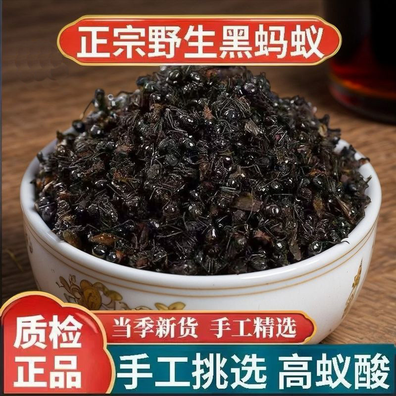 野生黑蚂蚁中药材500g官方旗舰店正品广西横县大个拟黑多刺蚁干粉