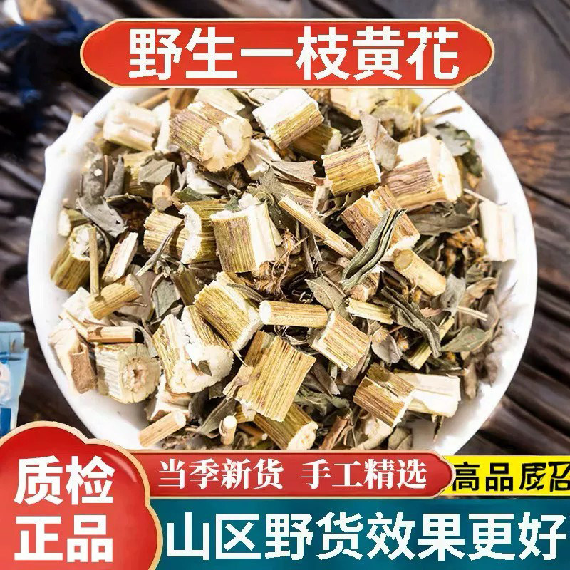 野生一枝黄花中药材金锁钥老虎尿新鲜干货中草药土泽兰大败毒