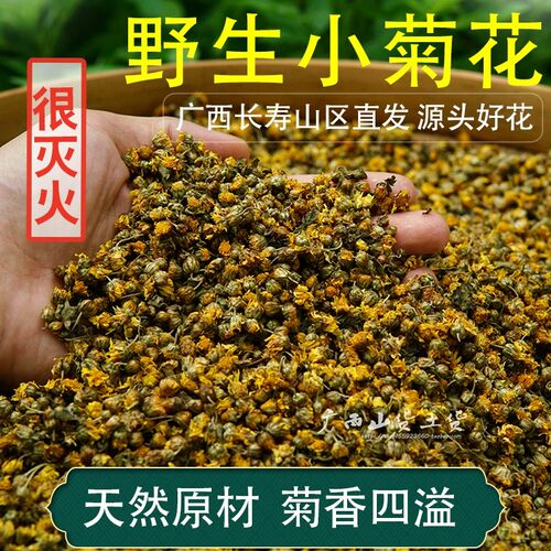 广西野生小菊花中药材泡水胎菊苦干米菊天然正品茶特级正宗野菊花