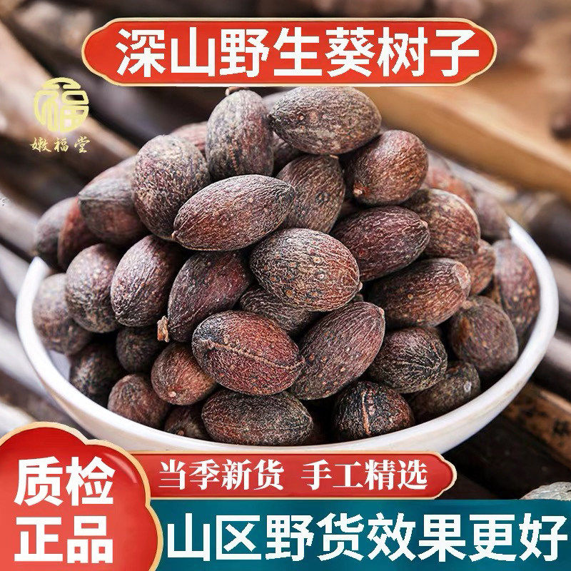 正宗广西野生蒲葵子中药材500g葵树籽大粒老果葵扇子葵扇籽葵树子