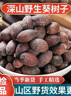 正宗广西野生蒲葵子中药材