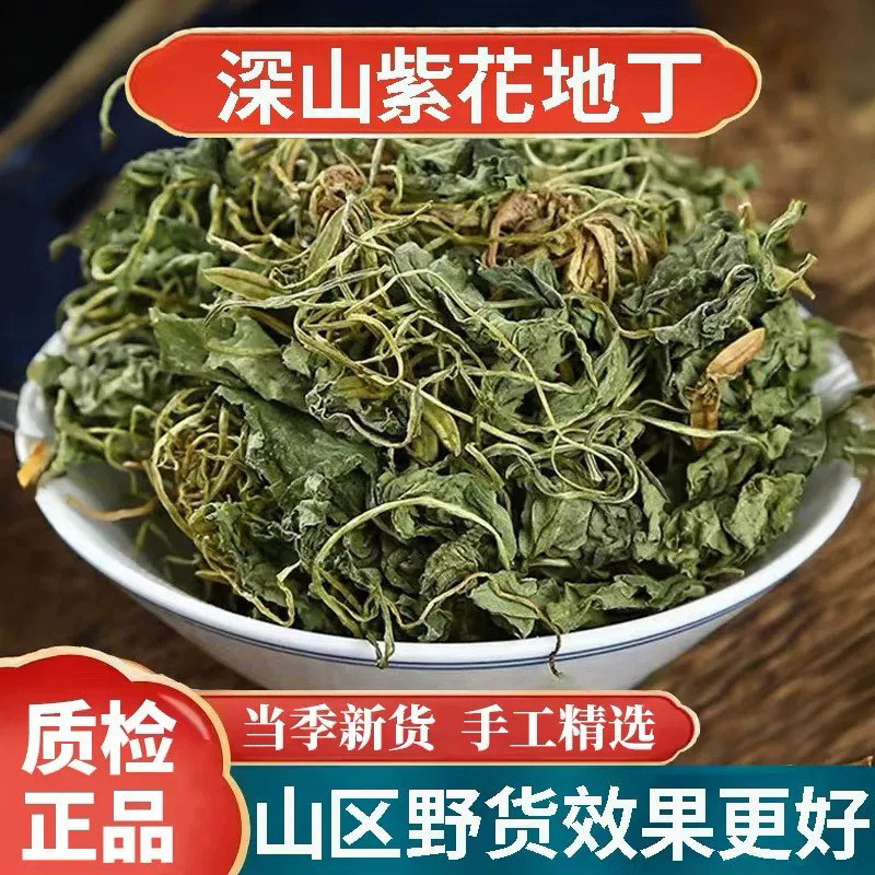 野生紫花地丁中药材500g新鲜犁头草中草药材地丁茶泡水喝