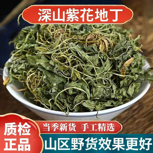 野生紫花地丁中药材500g新
