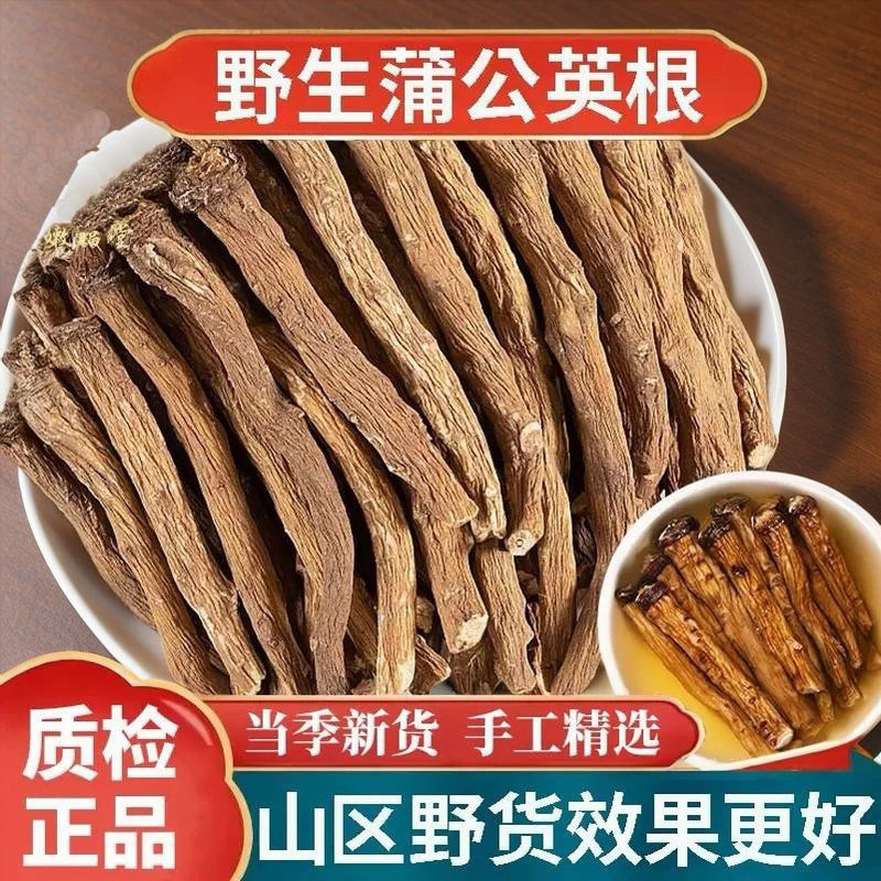 野生蒲公英根茶新货中药材500g正品特级官方旗舰店正宗精选干货