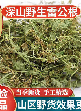 正宗野生雷公根积雪草中药