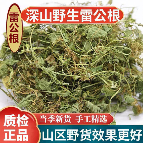 正宗野生雷公根积雪草中药