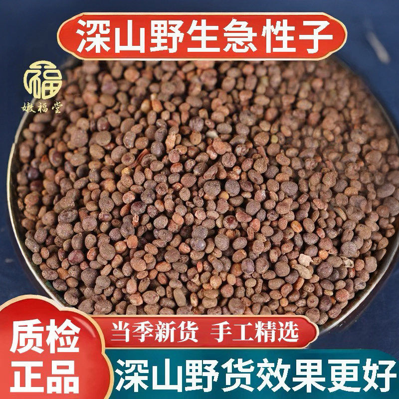 急性子中药材凤仙花子指甲花籽正品新货急性籽中药材凤仙子