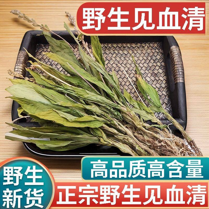 云南野生见血清草药中药材500g正品正宗见血青羊耳蒜见血莲