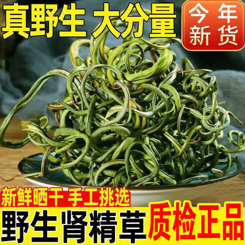 走长白山野生肾精茶草化石
