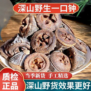 野生一口钟中药材云南香料白树球扣子七一口盅胜利果桉树果洋草果