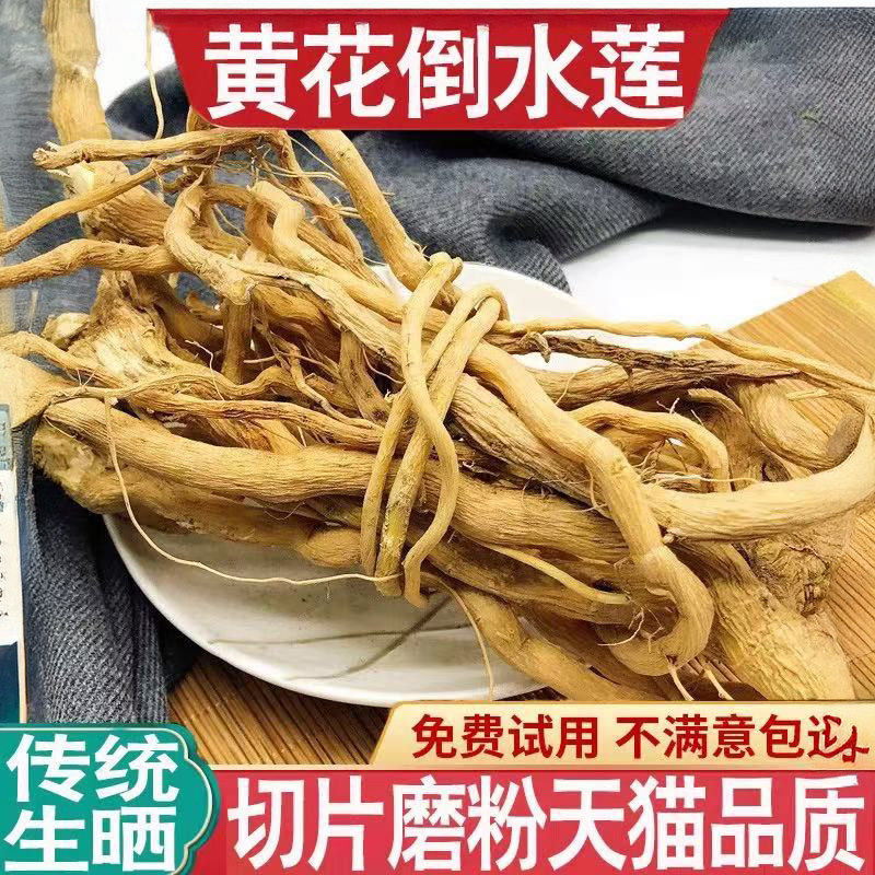 野生黄花倒水莲中药材500g正宗正品整株倒吊黄根观音串煲汤料