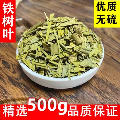广西铁树叶切段当季新货干中药材精选500g克中草药