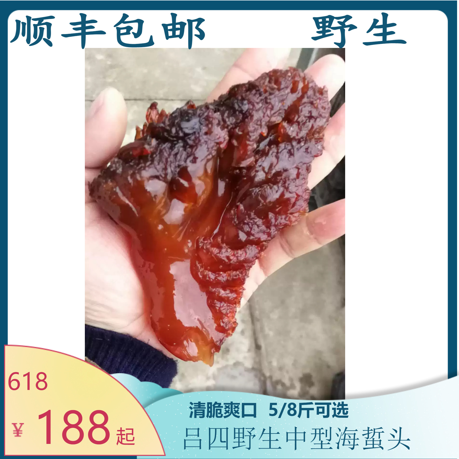 中正宗吕四野生中大海蜇头5斤装桶礼盒装顺丰包邮送礼非即食