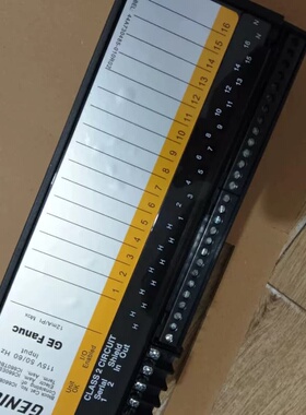 美国GE发那科IC660BBD110--议价商品