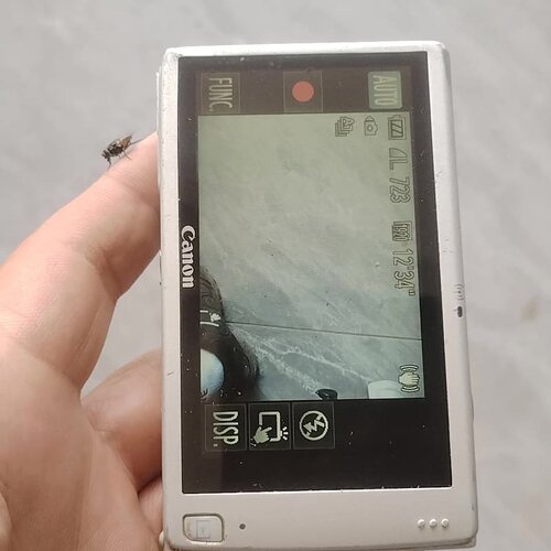 佳能ixus245正常开机，外屏幕开胶一点，配件+内存卡--议价商品