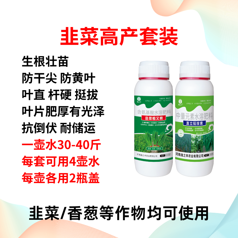 韭菜专用肥韭菜粗又嫩直立挺拔素叶片黑绿硬朗抗倒伏防干尖黄叶等