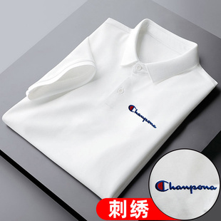 t恤男2025新款 翻领休闲冰丝上衣服爸爸装 短袖 夏季 中年半袖 polo衫