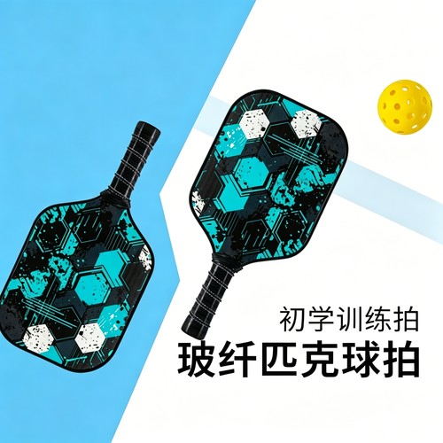 新手家庭活动运动皮克球拍套装热销多款式初学者训练匹克球拍