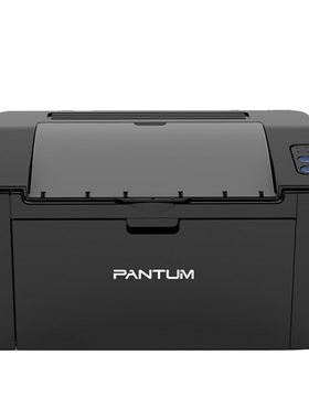 PANTUM 奔图 P2509 A4黑白激光打印机 小型 小巧 便携USB连接